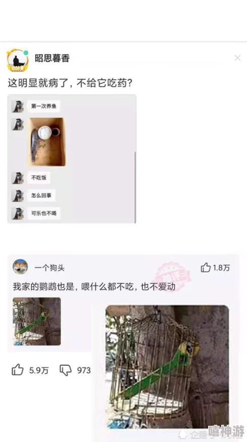 acca少女网课韩国，网友热议：这课程真的适合零基础吗？学习效果如何呢？