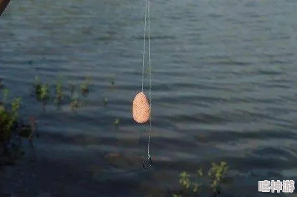 暗喻幻想下的钓鱼技巧：如何巧妙选择垂钓策略与地点