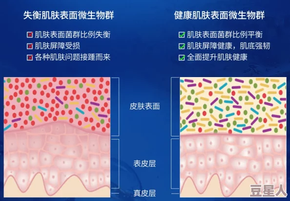 野外一面膜上边一膜下边：考察自然环境对膜生态功能的影响与应用前景分析