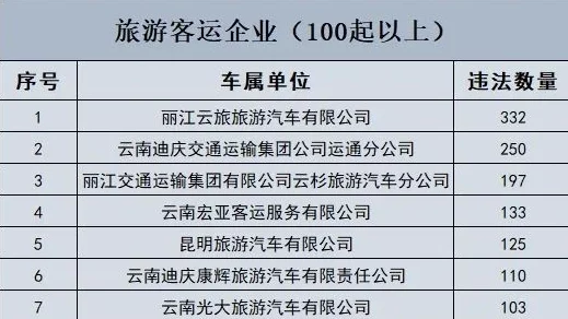 高危风险9.1每天免费三次，用户反馈积极，使用体验持续优化中