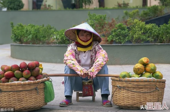 免费行情网站链接怎么弄？业内人士曝出惊人内幕，竟然有隐藏技巧让你轻松获取！