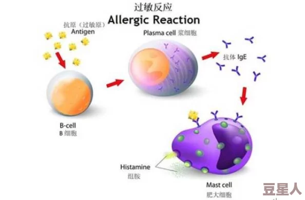 多毛的亚洲人毛茸茸：科学家揭示遗传因素与环境影响的复杂关系，助力理解体毛生长机制