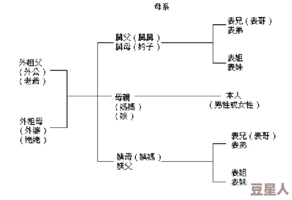 阿姨叫真好听：探讨亲切称谓对人际关系的重要性与社会文化影响