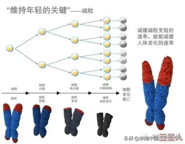 差差差很痛30分钟免费大全软件：了解如何选择正确的健康应用程序以改善生活质量和缓解压力