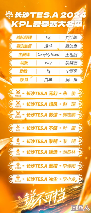 2024王者荣耀KPL夏季赛冠军阵容战士角色详解及新动向