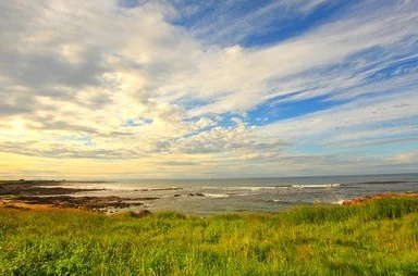 含羞草www免费看片天涯海角：畅游美丽风景，感受自然的魅力与宁静，享受心灵的放松与愉悦