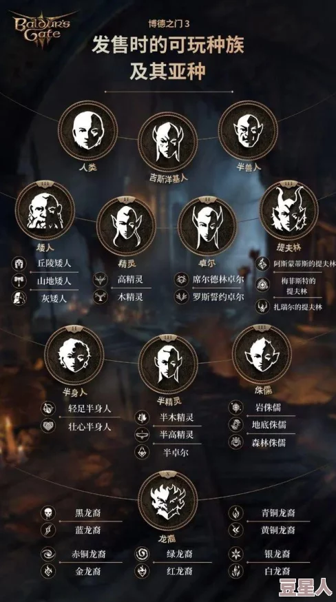 博德之门3：详解散打武僧BD配置，高效战斗策略与装备推荐