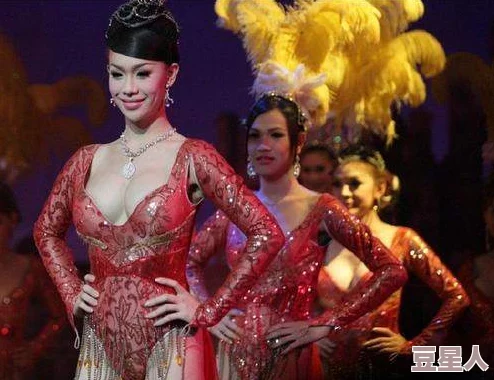 欧美人妖乱大交：跨文化交流中的性别认同与社会接受度的最新进展分析