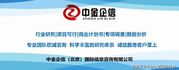 8x8x海外华为永久2024：全球市场竞争中的技术创新与战略布局分析