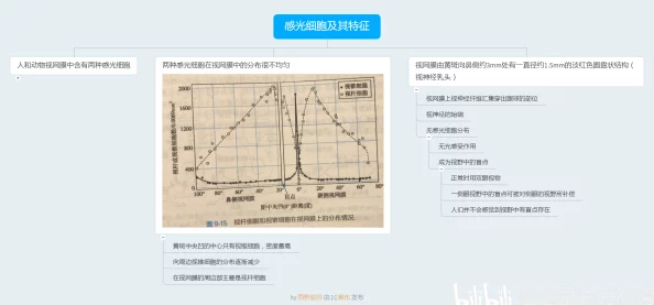 PA6色母与PA66色母的区别：深入分析两者在性能、应用及成本方面的不同之处，助您选择合适的材料