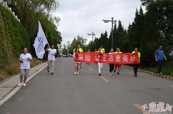 日本保险员中字2：最新进展与行业动态分析，揭示市场变化对保险业务的影响