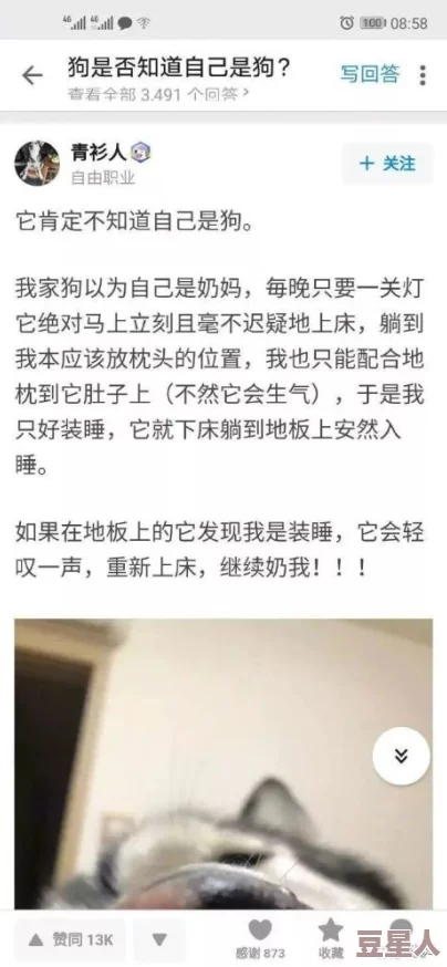 暴走吃瓜 爆走黑料：最新进展揭示事件背后的真相与各方反应，网友热议不断引发关注