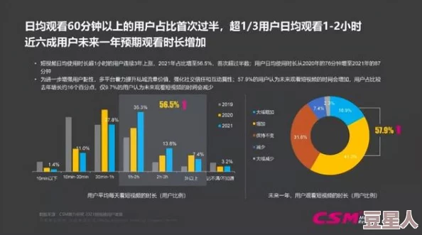 美日韩不卡帧：分析三国在视频播放技术上的优势与应用，探讨其对用户体验的影响及未来发展趋势