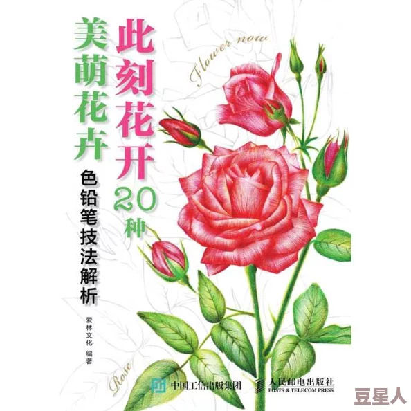 花语卷攻略：深入解析花卉的象征意义与应用技巧，助你在生活中更好地运用花语