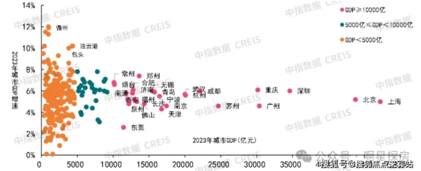 中国XXXXXL196是正规的吗？深入分析其背景、发展历程及在国内外市场的影响力与前景