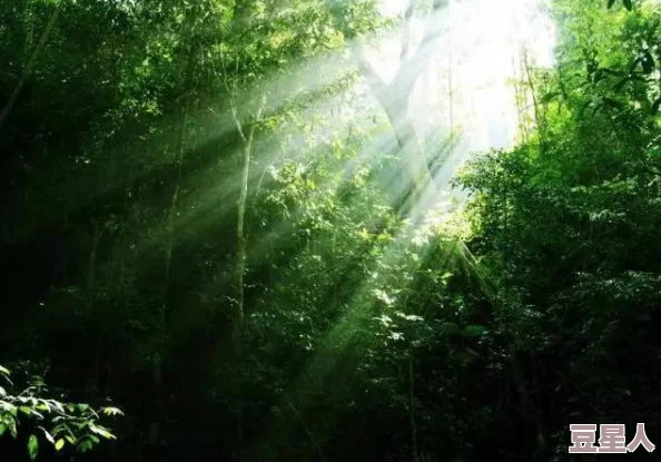 手不安分地探入森林：在这片神秘的绿荫中，隐藏着无数未知的生物与故事，等待着勇敢者去发现和体验