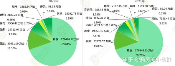 97精产国品一二三产区：分析中国农业生产结构与区域发展对策研究