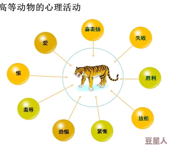 人和物动物交互在钱中的作用：从心理学视角分析人与动物互动对消费行为的影响与启示