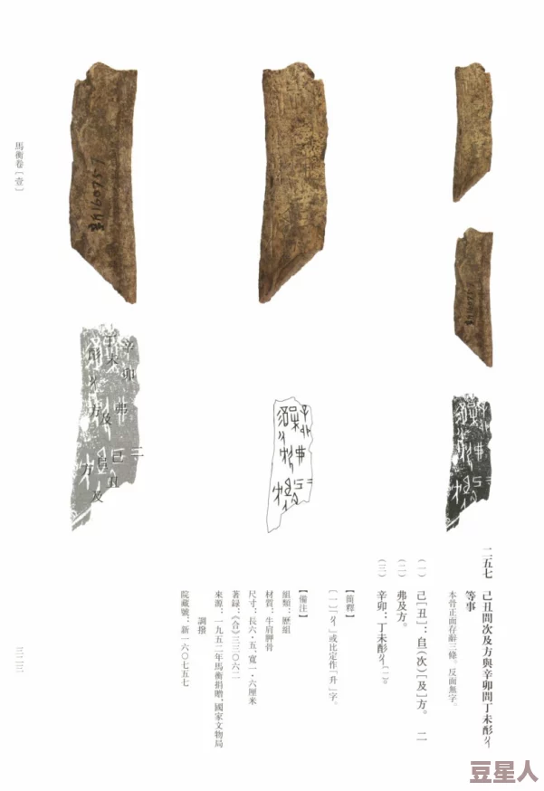 曰皮：解析古代文献中对皮肤与气候、文化交互影响的深刻理解与记录