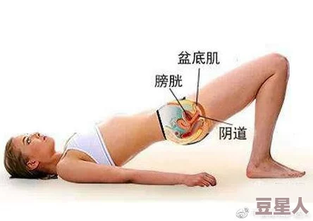 女人走后庭的好处和功效：从生理健康到心理舒适的全面分析与研究综述