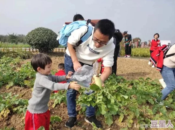 两人在室内拨萝卜的软件：一款趣味十足的互动游戏，带你体验别样的农田乐趣与合作挑战！