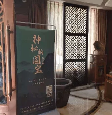 404黄色网站＂背后的真实故事曝光：不为人知的黑暗角落引发社会关注，网民齐呼严惩！