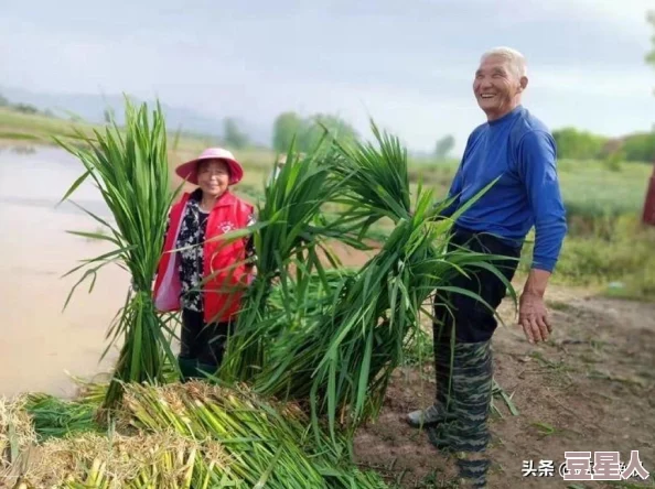 需要妈妈播种美国：意外发现新方法助力移民家庭实现梦想，改变未来的机会就在眼前！