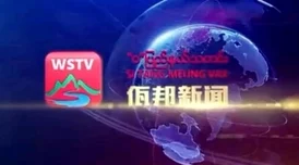 缅甸暗网网站曝出惊爆内容：大规模泄露政府机密与私人信息震撼舆论！