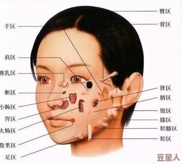 红桃视颏：解析这一独特的面部特征及其在美学和文化中的重要性与象征意义