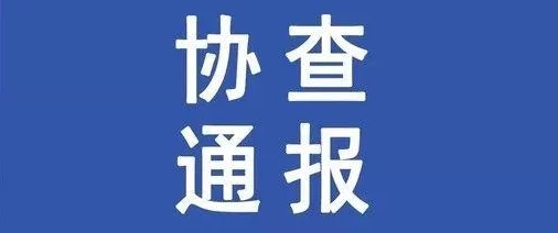 震惊！bgmbgmbgm胖老太太东北竟然在大街上跳舞，目击者纷纷拍照围观，场面引发热议！