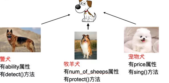 人狗大战：Python最简单处理方法及其在动物行为研究中的应用分析与探讨