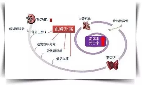 榨精病栋第九集：解析剧情发展与角色关系的深层次探讨与意义分析