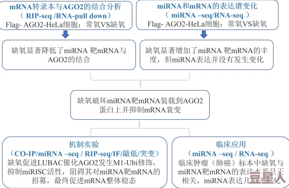 xaxwas was wasxil jalap：最新进展揭示了该项目的潜在影响及未来发展方向，值得关注与期待