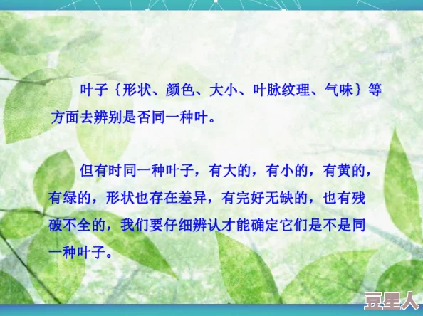 公愆憩止痒玉米怎么办？专家建议采取科学管理措施以提高作物健康和产量