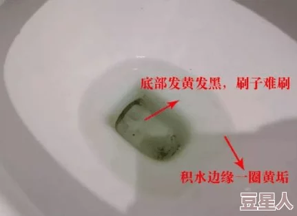 用刷子刷-尿-孔-和小豆豆，惊现惊人真相，竟然引发了全网热议与讨论！