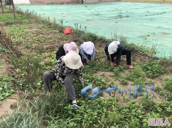 吃花核心我要：探讨花卉饮食文化的健康益处与美味搭配技巧