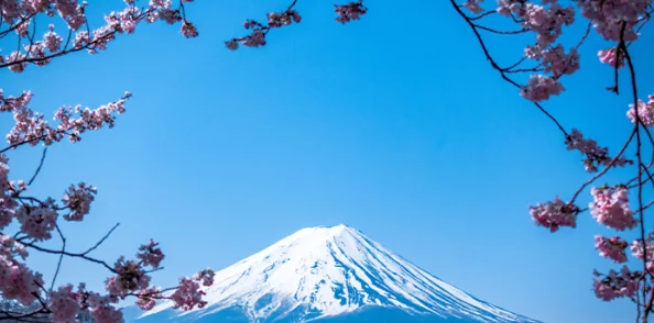 328日本大但人文艺术：深入探讨日本大但地区丰富的人文历史与独特的艺术表现形式，展现其文化魅力与多样性