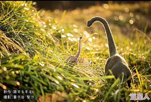 丰满多毛大阳户特写：探索自然之美,感受生命的奇妙与神秘