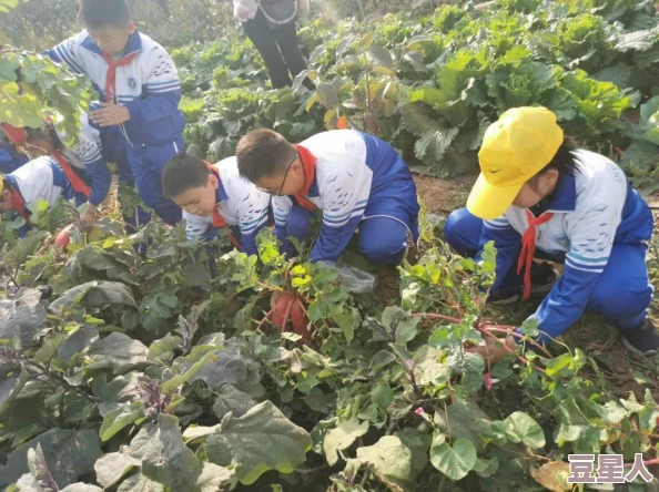 一小孩和妈妈摘萝卜还喊疼，童年趣事与亲子互动的温馨瞬间引发社会关注与讨论