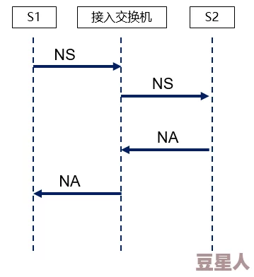 六年级菊花能塞几支棉签？探讨菊花的结构与容积、棉签的尺寸以及相关的植物生物学知识