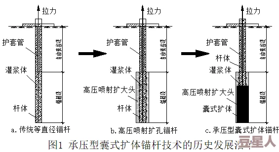 六年级菊花能塞几支棉签？探讨菊花的结构与容积、棉签的尺寸以及相关的植物生物学知识