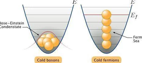 双性花蒂尿孔bl：科学家发现新型植物生殖结构，揭示其在生态系统中的重要作用与潜在应用价值