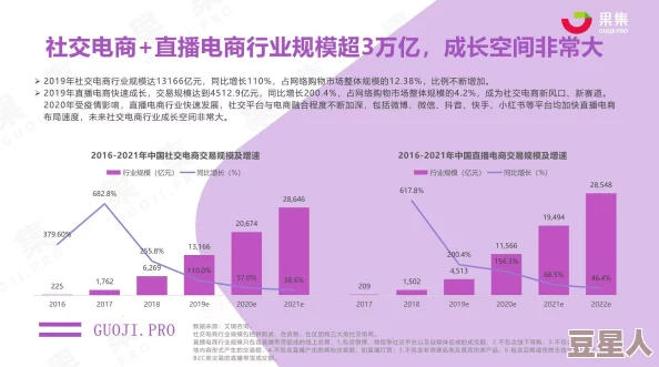 基于社交媒体平台的B站网站推广策略研究：以用户行为分析为基础的实证探讨与建议