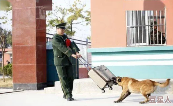 圣采儿跪地叫主人，展现出对主人的绝对忠诚与服从，令人感受到深厚的情感纽带和信任关系