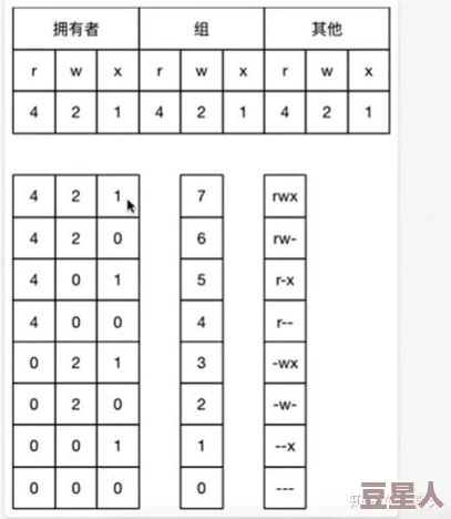 x7x7x7与x7x7x7区别：解析两个相似符号在数学和编码中的不同含义与应用