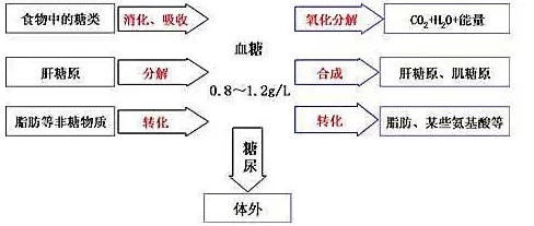 体内精69XXXXXx义：解析身体内部精细结构与功能的奇妙关系与影响因素