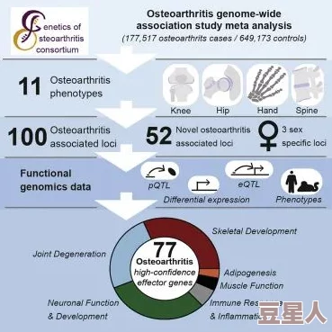 疯批父子骨科双产：最新研究揭示遗传因素对骨骼健康的深远影响与临床应用前景