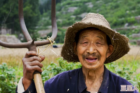 老农民里的老干棒媳妇人物介绍：她的坚韧与智慧如何改变了乡村生活，成为新一代女性的榜样