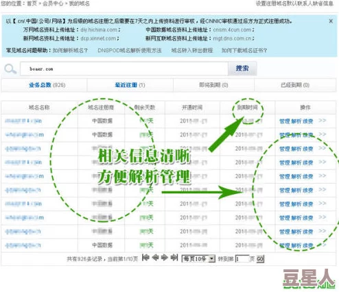 (17c)最新域名：在数字时代，如何选择合适的域名以提升品牌影响力和在线可见性？