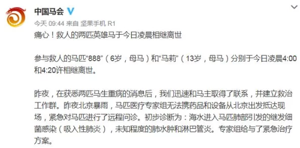 啊嗯轻点痛黄文：在情感与欲望交织的世界中，如何找到平衡与自我救赎的路径？